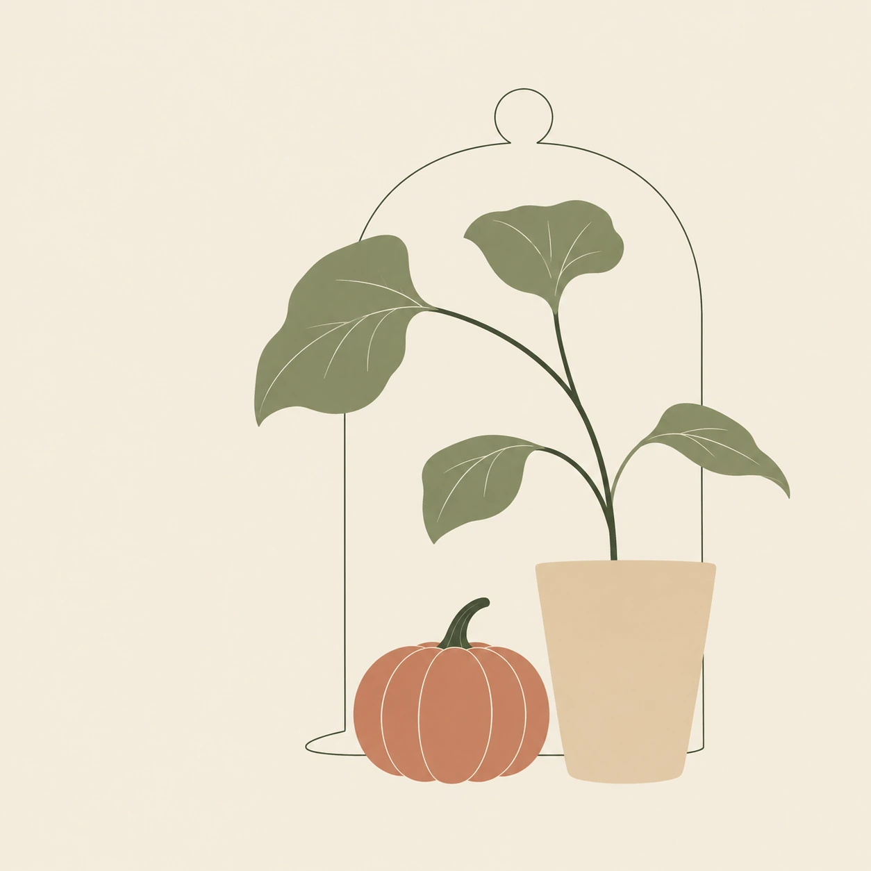 Pumpkin plant under a glass cloche